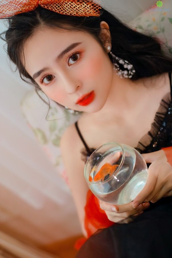 Ái Phi với những dự định trong tương lai