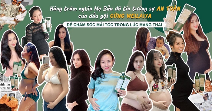 Dầu gội Weilaiya giúp chị em phụ nữ Việt Nam vượt qua khủng hoảng rụng tóc sau sinh