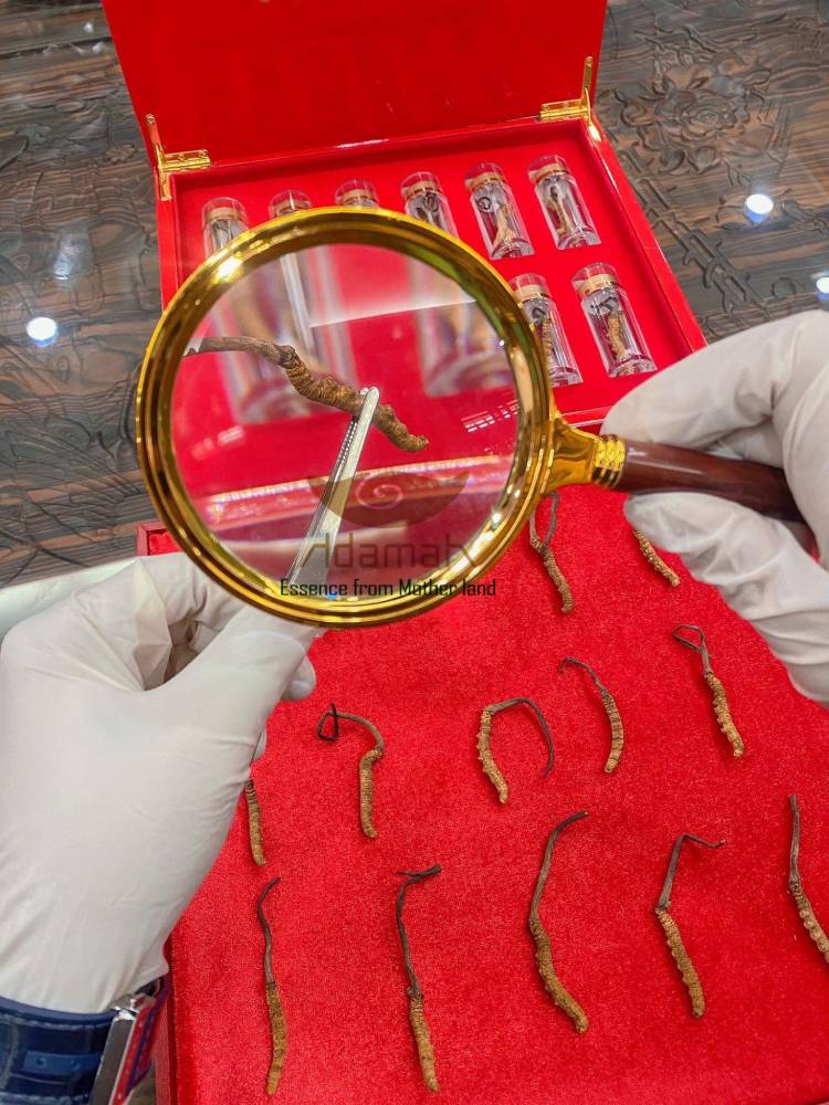 Chất lượng điểm 10 tuyệt đối cho thương hiệu Việt