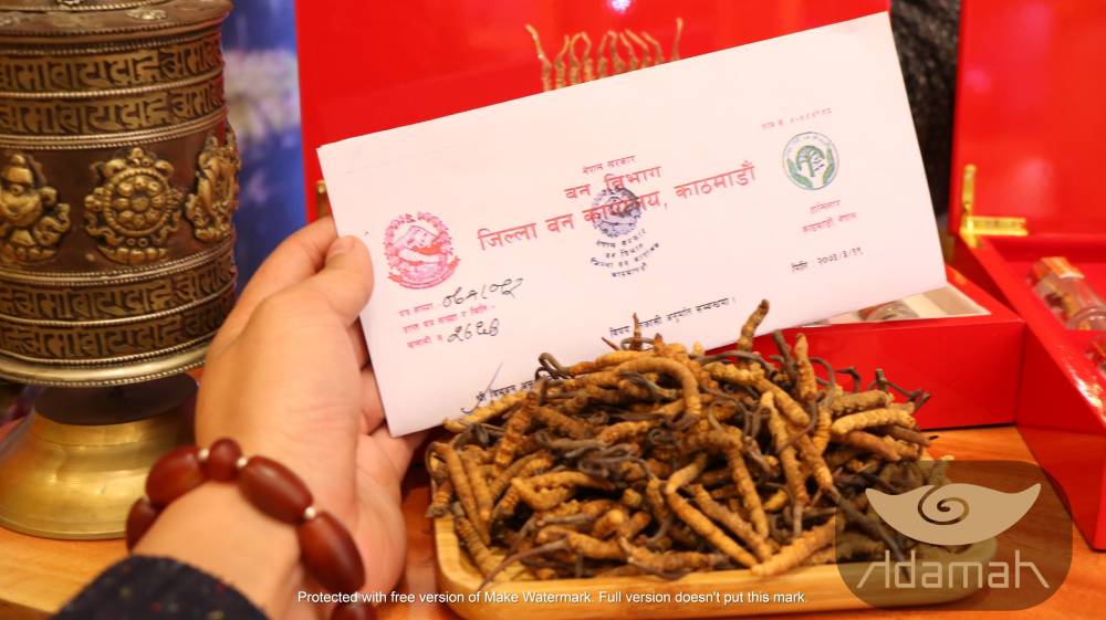 Được tận tay những người dân Nepal chọn lọc